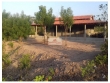  Sitio com 6600m2, no loteamento ?rvores verdes