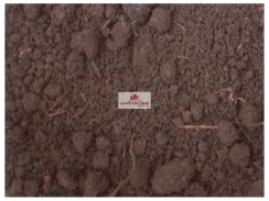 Fazenda com 300 hectares, terra bruta, dupla aptidão