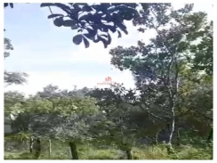  Fazenda com 4100 hectares, dupla aptidão Área bruta