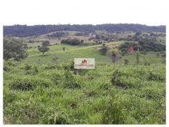 Fazenda com 782 hectares, com 650 hectares de área aberta