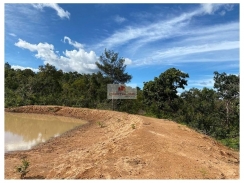  Fazenda com 3821 hectares, terra bruta, própria para pecuária