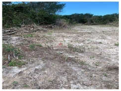 Fazenda com 1350 hectares, dupla aptidão, bruta, chuva acima de 1500mm