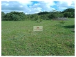 Fazenda 900 hectares, dupla aptidão
