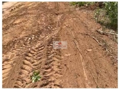  Fazenda com 10.000 hectares, bruta, dupla aptidão (70% com aproveitamento para agricultura)