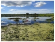 Fazenda com 1200 hectares, com 250 hectares aberto