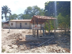 Fazenda na região de Caxias - MA, com 302 hectares, dupla aptidão, com casa sede