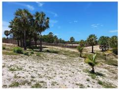 Terreno com 6500m2, região de Barra Grande, urbano