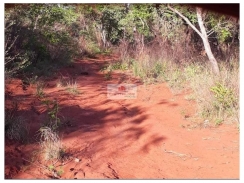 Fazenda com 14 mil hectares, terra bruta, dupla aptidão