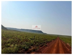 Fazenda com 15.700 hectares, com 11.000 hectares licenciados e desmatados