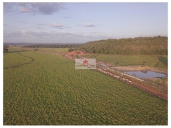 Fazenda com 20.000 hectares, com 17.400 hectares de área aberta e pastagem