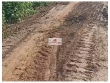 Fazenda com 541 hectares, dupla aptidão, toda cerc