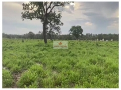 Fazenda na região de Caxias - MA, com 4.600 hectares, dupla aptidão