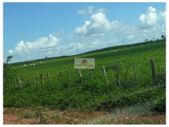  Fazenda com 2900 hectares, dupla aptidão, toda cerca