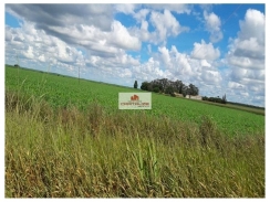 Fazenda com 438.000 hectares, 60% da área já foi utilizada para agricultura