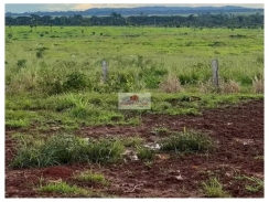 Fazenda com 5.060 hectares, com 2500 hectares abertos, dupla aptidão