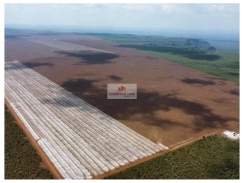 Fazenda com 10.000 hectares, estruturada, com sede boa