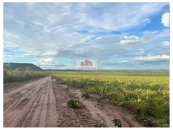Fazenda com 16.040 hectares, 400 hectares estão com pasto formado