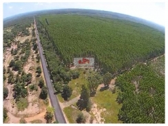 Fazenda na região de Floriano, com 6015 hectares, produtiva, dupla aptidão