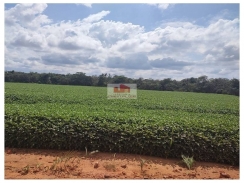 Fazenda na região de Balsas-MA, com 30 mil hectares, com 13 mil hectares em plantação