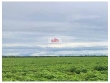 Fazenda com 22.000 hectares, área plantando 9.000 