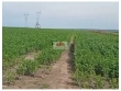 Fazenda com 2.200 hectares, dupla aptidão, com 600