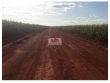 Fazenda com 13.500 hectares, na região de Tasso Fr