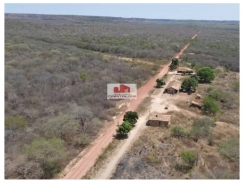 Fazenda com 17.398 hectares, com 17.398 hectares, na região de Riacho Frio - PI, dupla aptidão