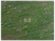 Terreno urbano, com 8261m2 (pode fazer 41 lotes, n