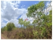 Fazenda com 1300 hectares, terra bruta, na margem 