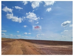 Fazenda com 5.043 hectares, na região de Cumaru do Norte-TO, com 800 hectares em pasto