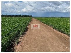 Fazenda na região de Balsas-MA, 3.093 hectares, com 1.250 hectares em plnatio, estrutura para lavoura
