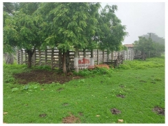 Fazenda com 250 hectares, dupla aptidão, com 2 casas