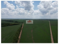 Fazenda na região de Araguaina-TO, com 8230ha, com 4356 hectares abertos