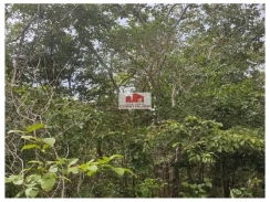 Fazenda com 2.928 hectares, dentro de Parque Federal