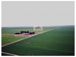 Fazenda, na região de São Desidério, com 12.400 hectares, com 8.170 hectares abertos