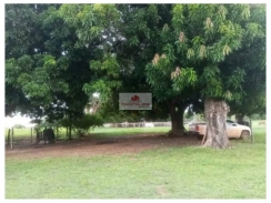 Fazenda com 3.232 hectares, na região de Paranã-TO, distante 35km do asfalto