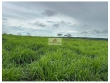 Fazenda na região de Turilandia-MA, com 4.400 hect