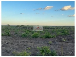 Fazenda com 970 hectares, na região de Timon-MA, com 970 hectares, dupla aptidão, distante 35km da zona urbana