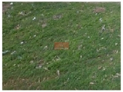Terreno com 3 hectares, na margem da lagoa do Portinho-Parnaíba-PI