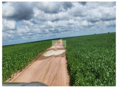 Fazenda na região de Baixa Grande do Ribeiro-pi, com 4.000 hectares, sendo 2.600 hectares já plantando