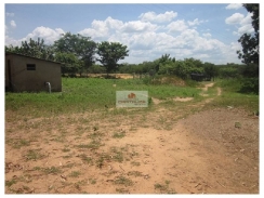 Fazenda com 164 hectares, dupla aptidão, área de aluvião, na margem do rio Gurgueia (40 hectares)