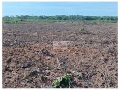  Fazenda na região de Murici dos Portelas-PI, com 3000 hectares, com 250 hectares abertos, com casa sede