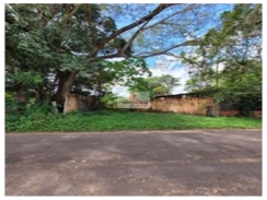 Terreno rural com 42 hectares, com casa sede, casa de morador, poço tubular,