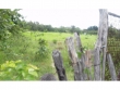 Fazenda com 120 hectares, casa com 3 quartos, 2 po